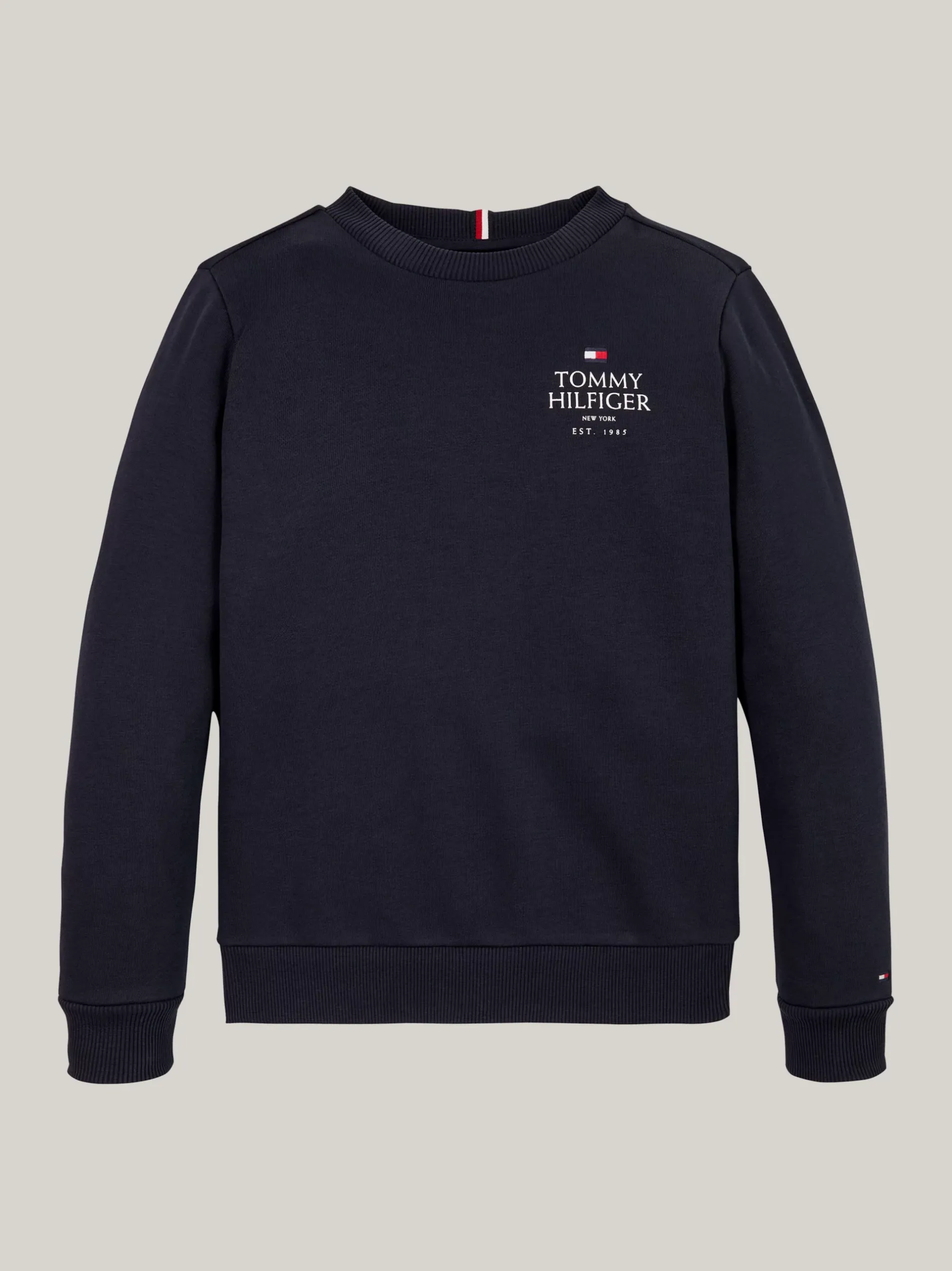 Bluzy Dresowe I Z Kapturem*Tommy Hilfiger Bluza Z Okrągłym Dekoltem I Logo Hilfiger DESERT SKY