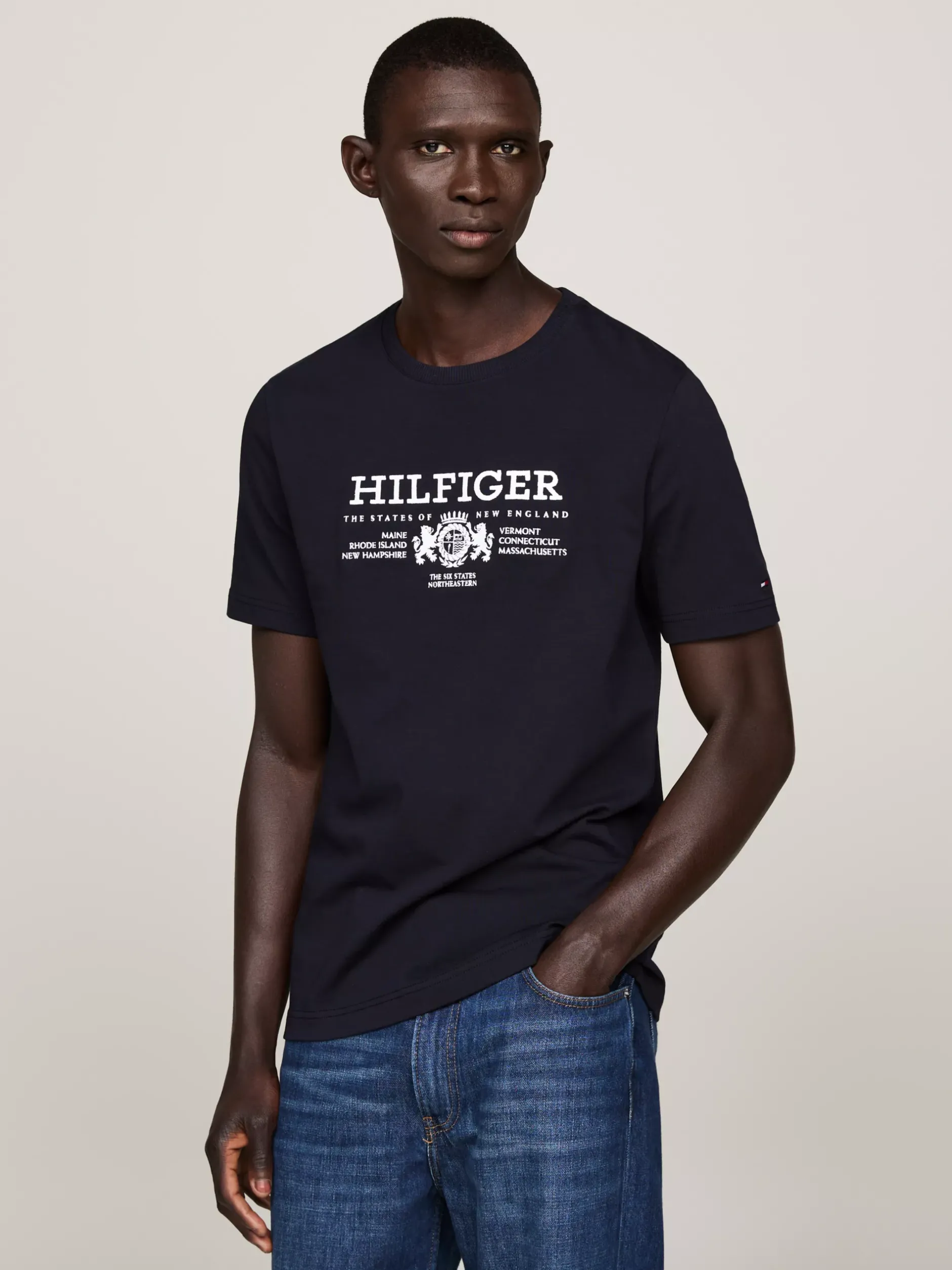 T-Shirty*Tommy Hilfiger Koszulka Z Haftowanym Emblematem DESERT SKY