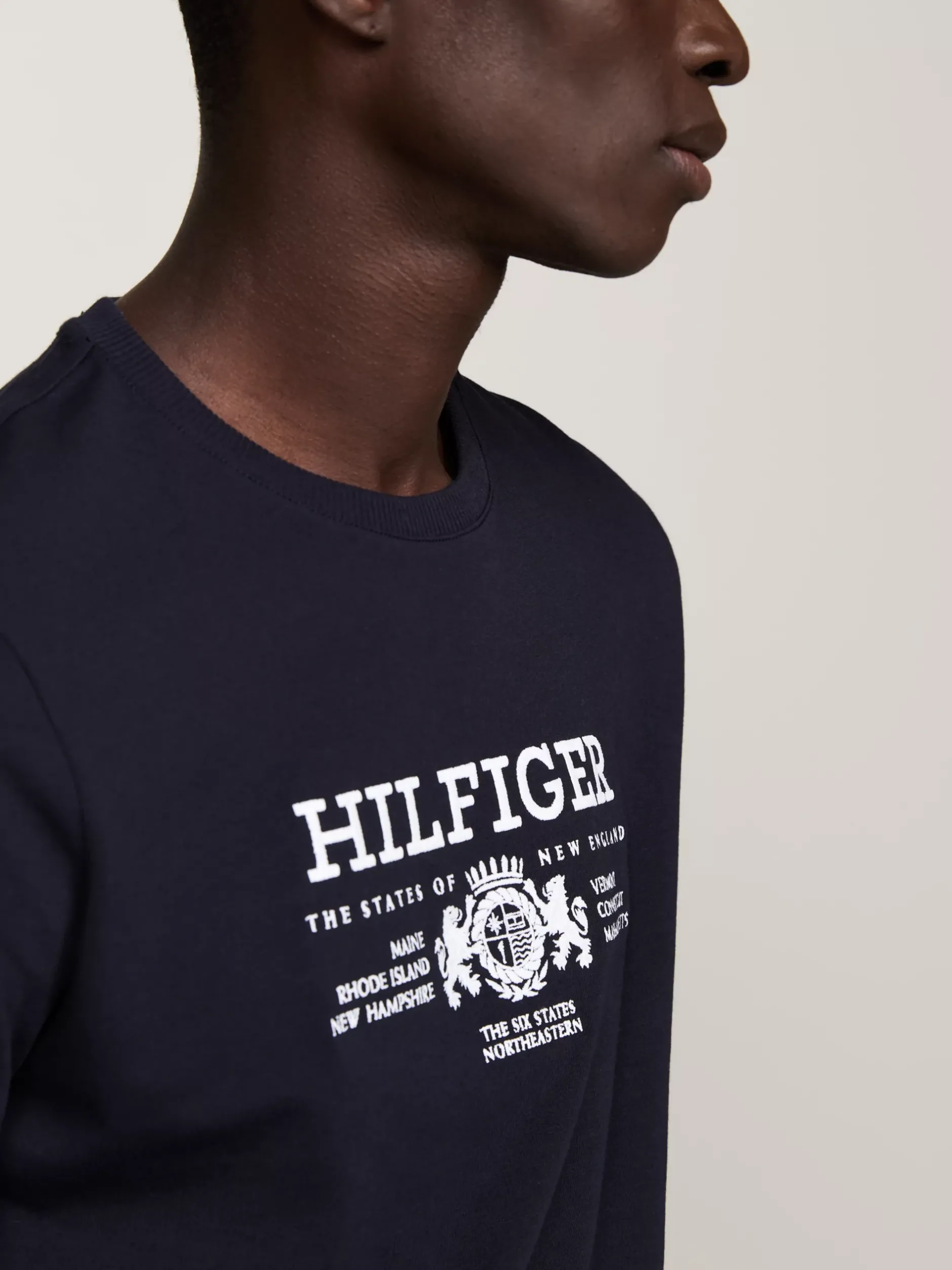 T-Shirty*Tommy Hilfiger Koszulka Z Haftowanym Emblematem DESERT SKY